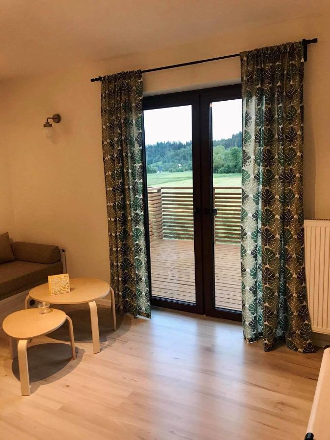 Apartament Przy Potoku Zubrzyca Gorna Εξωτερικό φωτογραφία