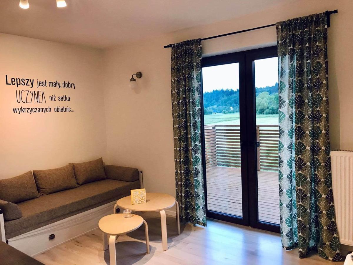Apartament Przy Potoku Zubrzyca Gorna Εξωτερικό φωτογραφία