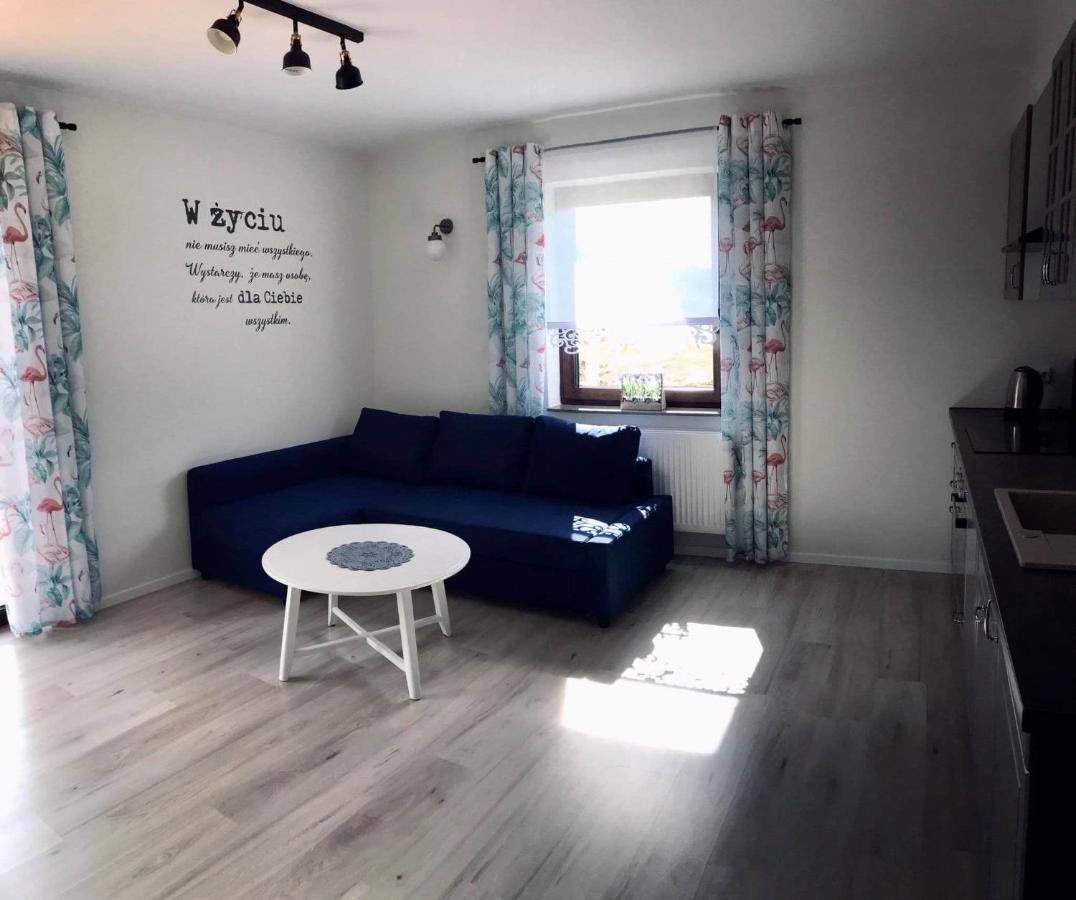 Apartament Przy Potoku Zubrzyca Gorna Εξωτερικό φωτογραφία