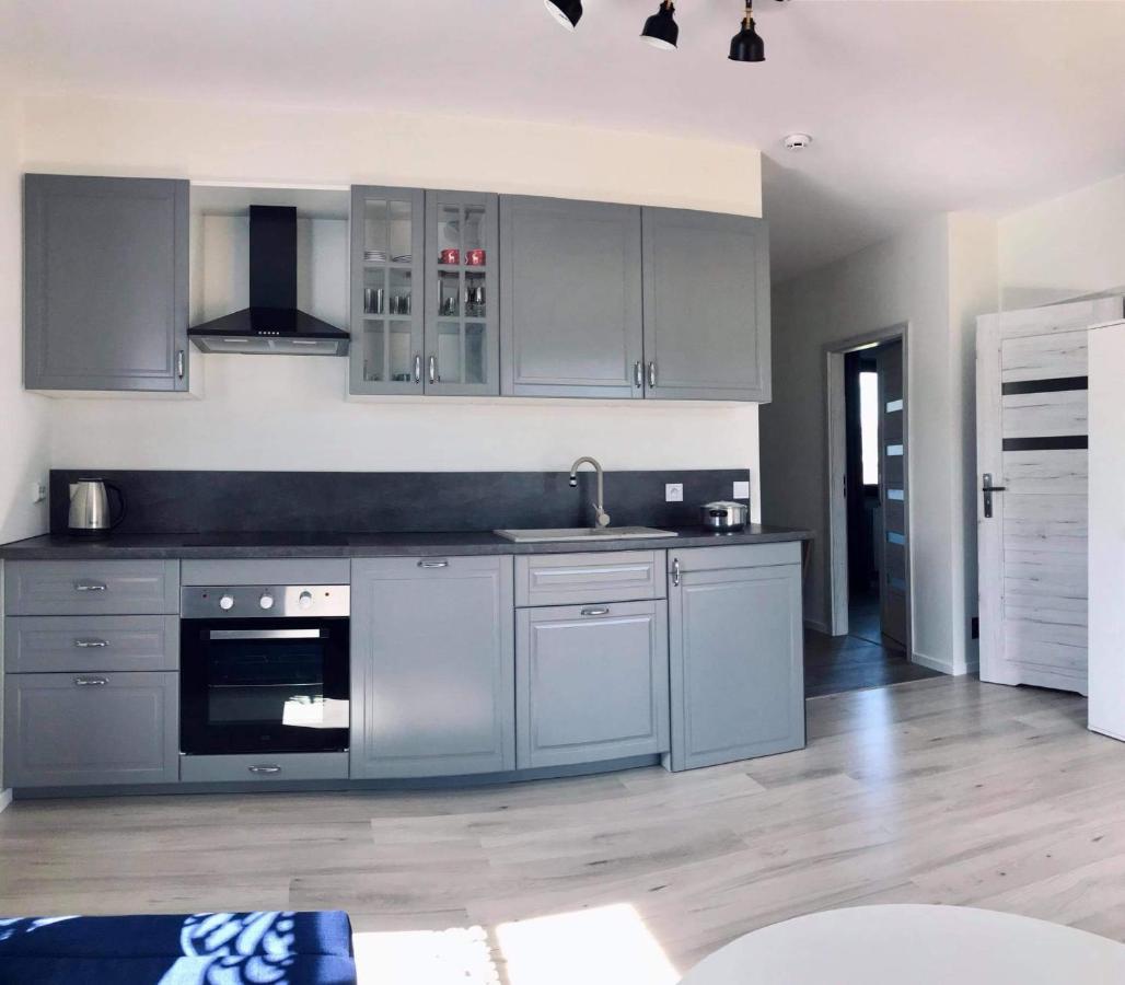 Apartament Przy Potoku Zubrzyca Gorna Εξωτερικό φωτογραφία